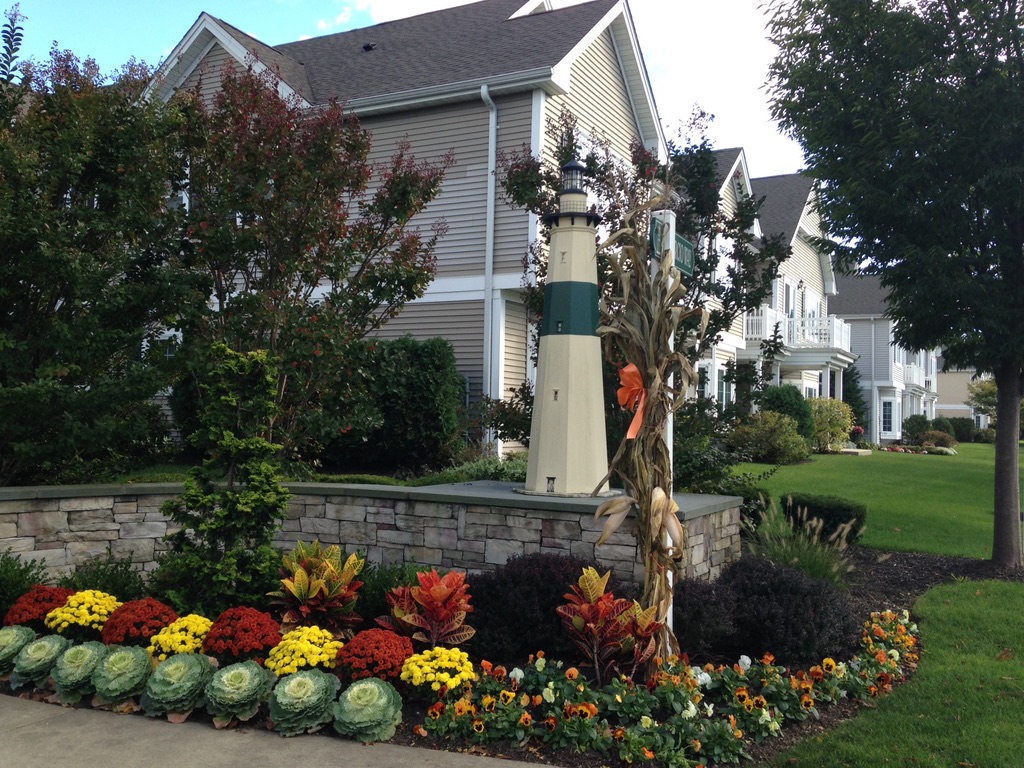 An abundant autumn flower display at a landscaped entrance