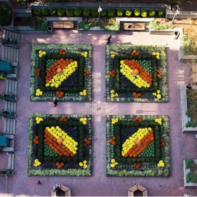 Four geometric courtyard gardens with diagonal autumn flower arrangements