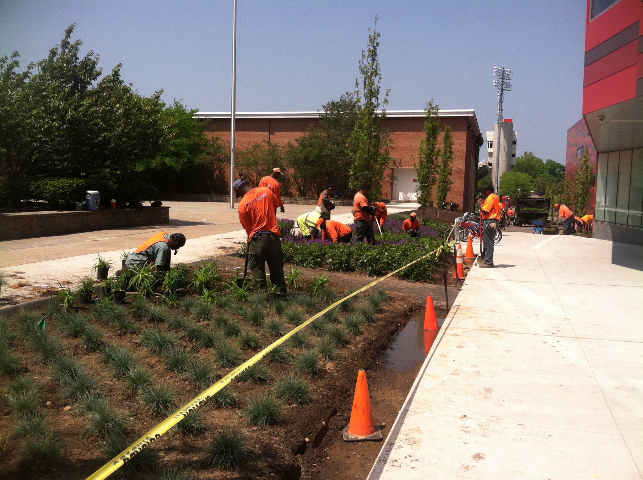 Terranova crew installing the planting beds beside the Stony Brook University recreation center