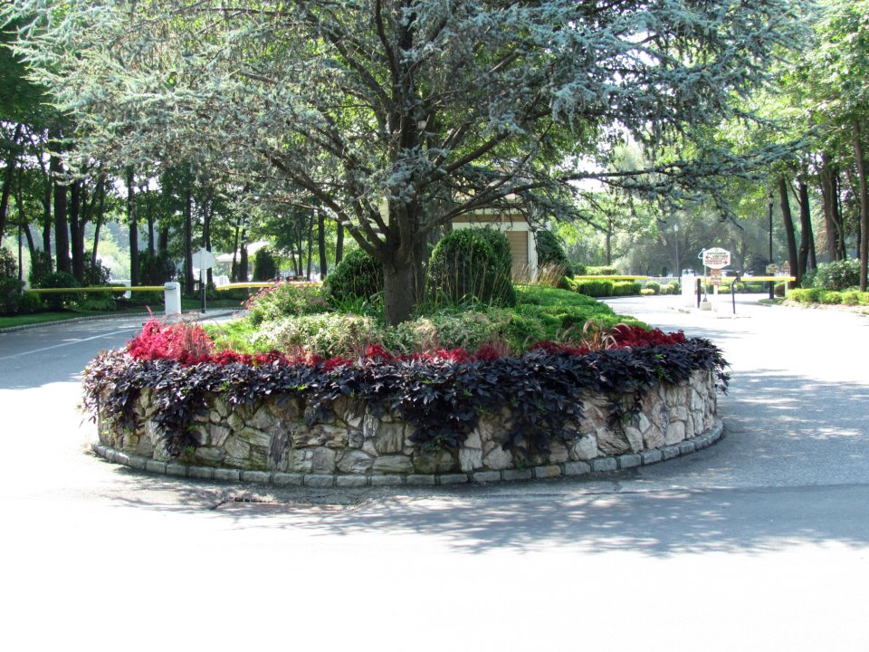 A stone planting island and mature tree