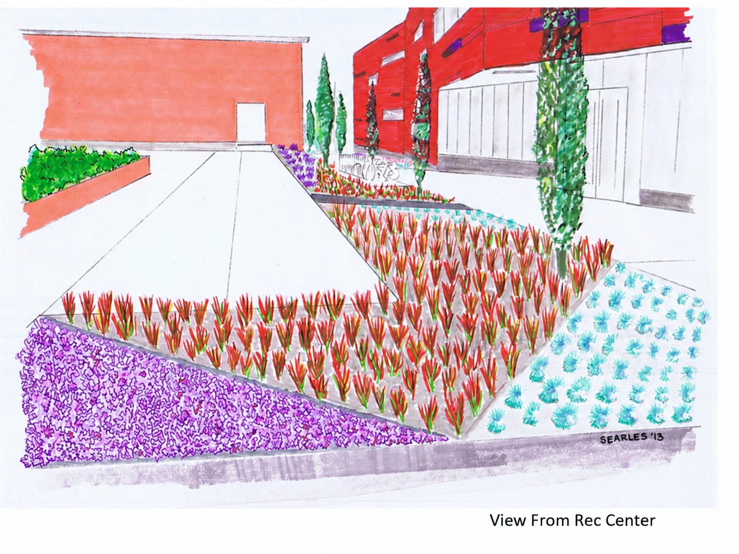 Hand-drawn planting proposal for the Stony Brook University recreation center