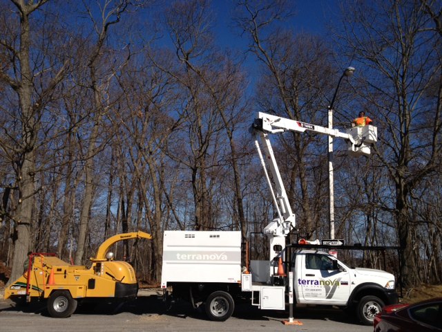 Terranova branded bucket truck and wood chipper with a crew member working in the tree canopy